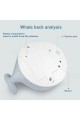 Kids Electric Induction Water Spray Ball Whale Bath Sprinkler Toys Music Lights