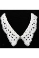 Choker Necklace Hollow Lace Detachable Lapel Shirt Fake False Collar for Ladies