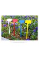 15 pcs 30cm Plastic Plant Tags T-Type Markers Nursery Garden Labels Stakes Multi Color